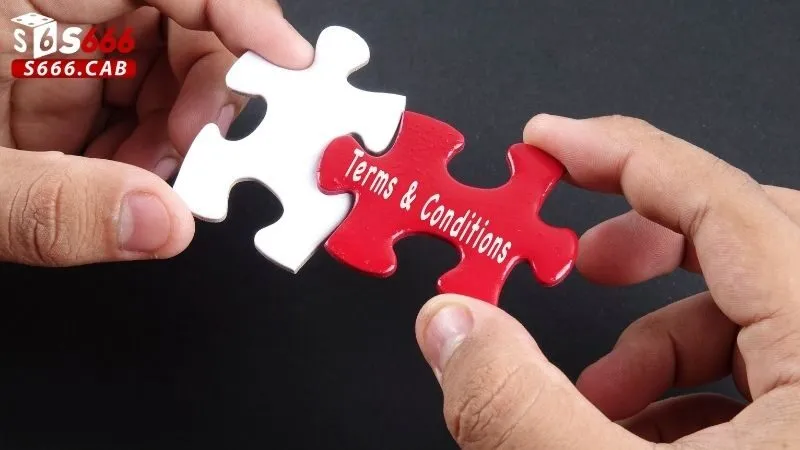 Điều khoản S666 2 Quyền và nghĩa vụ của người dùng