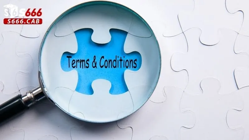 Điều khoản S666 1 Định nghĩa và phạm vi áp dụng điều khoản s666