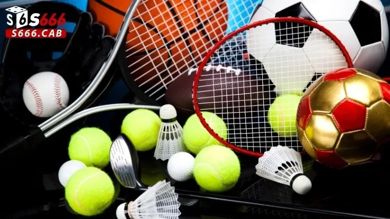 Thể Thao S666 3 Một Số Lưu Ý Khi Tham Gia Cá Cược Thể Thao tại Thể Thao S666